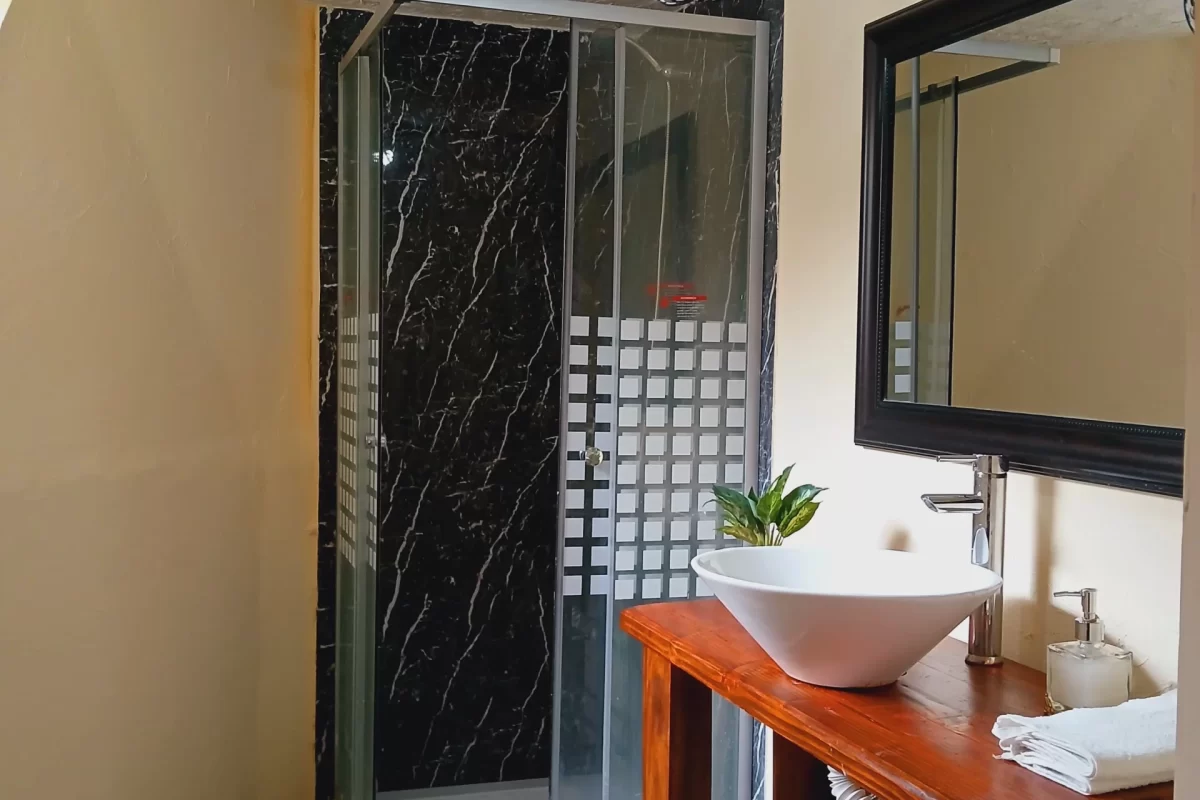 blackdome-suite-flowedome-02