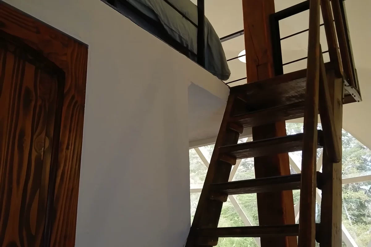 blackdome-suite-flowedome-07