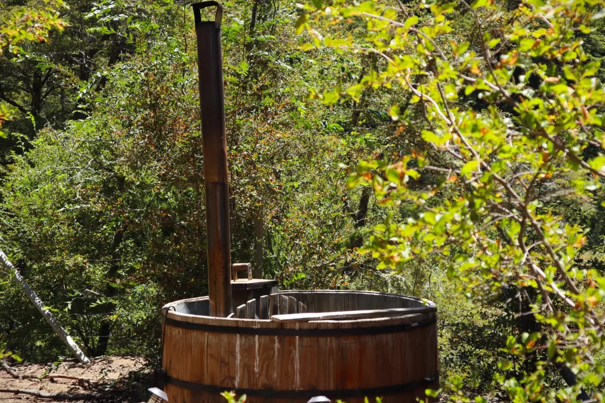 blackdome-suite-flowedome-10