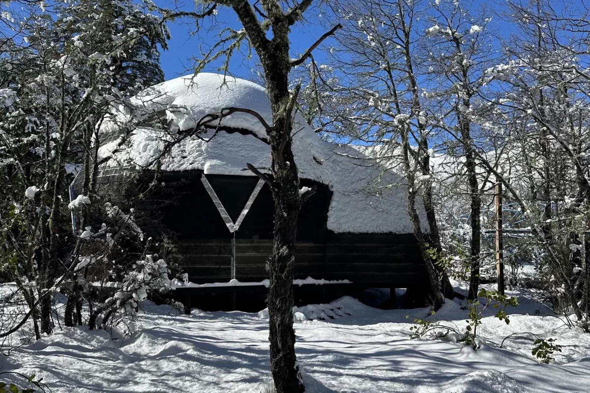 blackdome-suite-flowedome-11