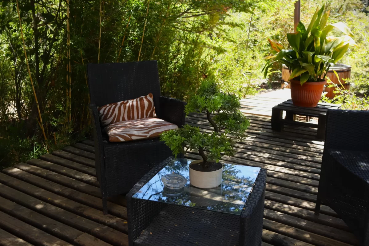 blackdome-suite-naturadome-12